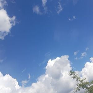 Meet your Posher, Rayanah